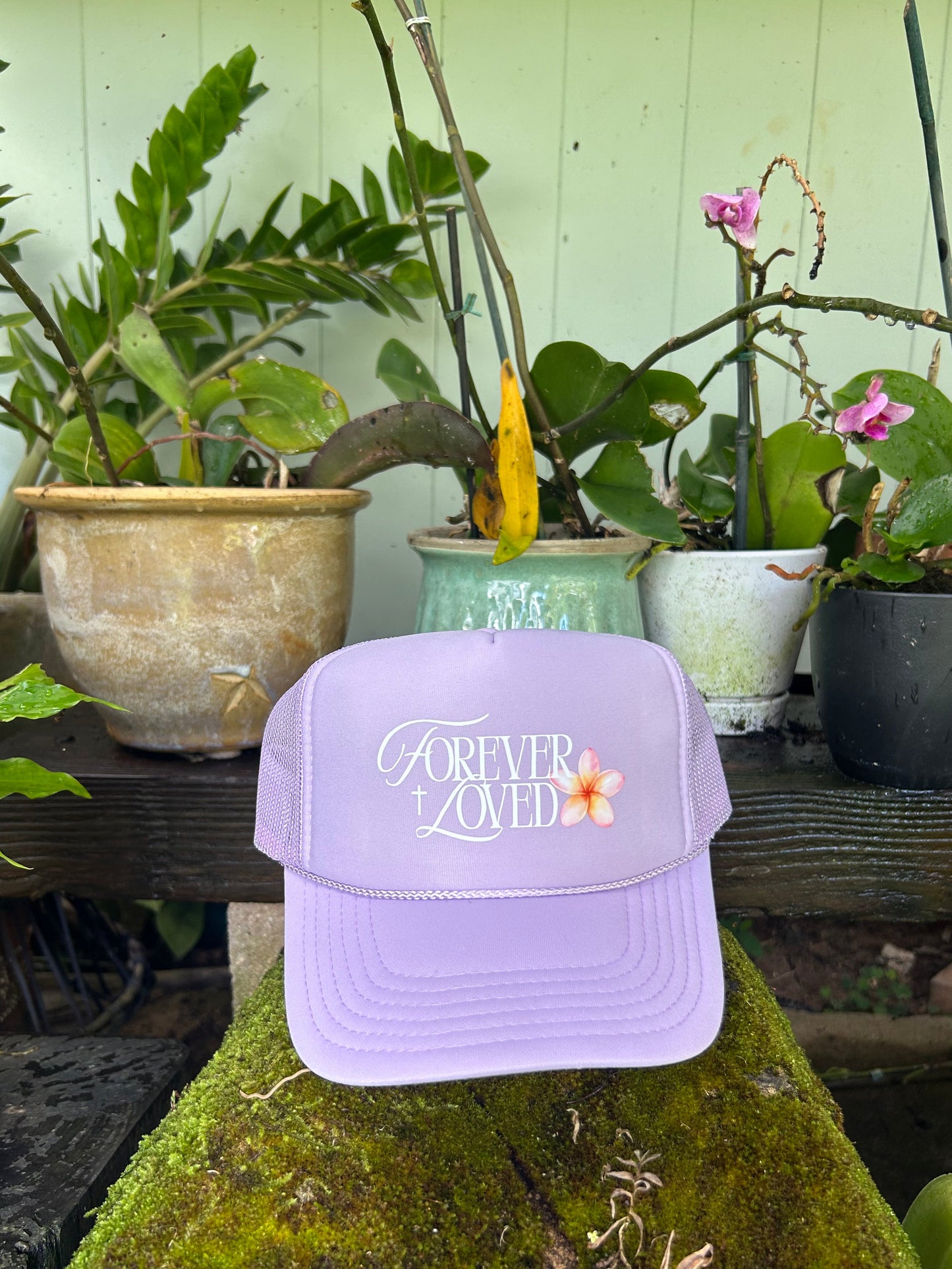 Lavender